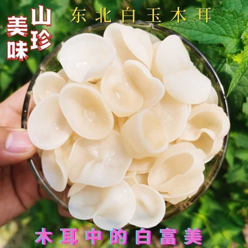 正宗白木耳东北长白山玉木耳辣椒炒肉无硫熏新鲜商用兔耳菌椴木