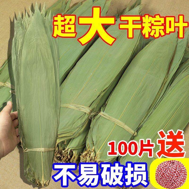 【大】粽叶包邮干粽叶新鲜野生大粽叶子包粽子叶非芦苇叶家用批发