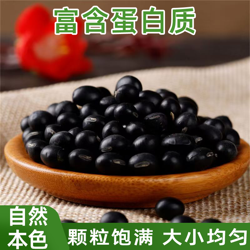 黑豆农家自种新豆纯天然五谷杂粮传统老品种黑豆黑豆浆豆香浓郁