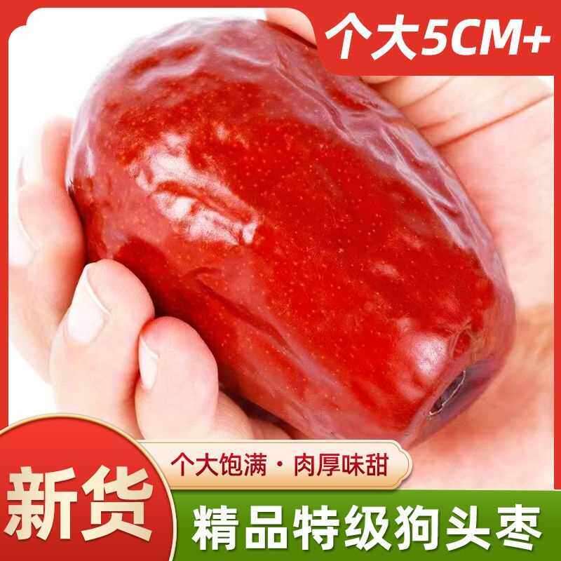2025新货陕西狗头枣特级陕北延安大红枣子个大皮薄肉厚特大新鲜