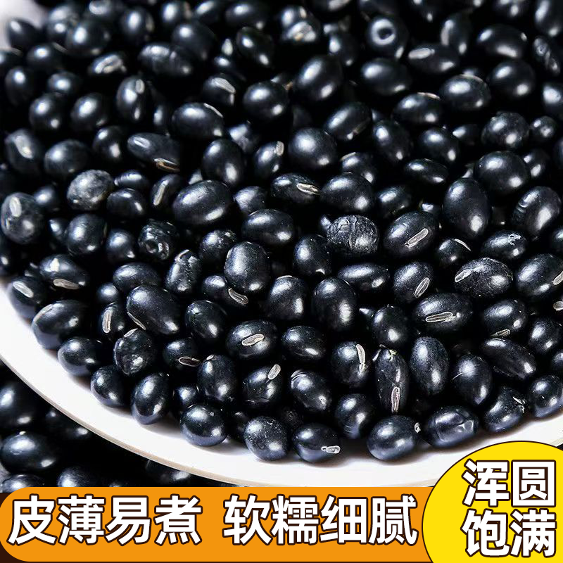 豆香浓郁农家自种纯天然新豆老品种黑豆五谷杂粮黑豆浆正宗黑豆