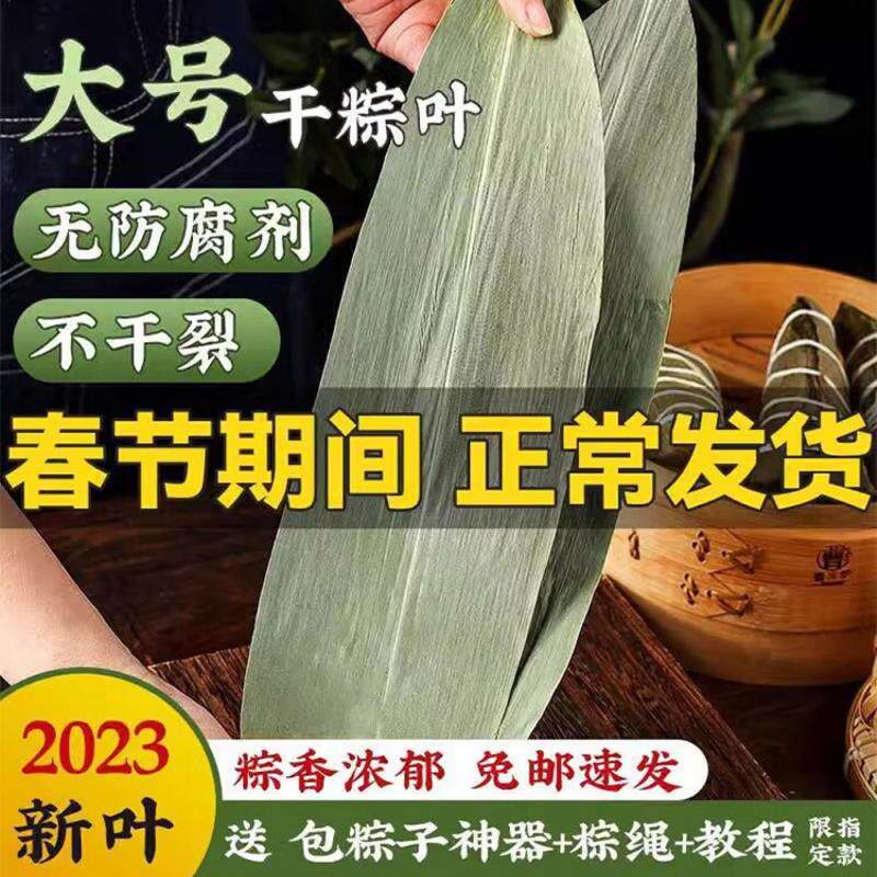 干粽叶大码特大号粽子叶免邮麻竹叶新鲜家商用包粽子叶子端午棕叶