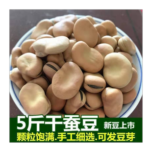 新货云南干蚕豆5斤生蚕豆罗汉豆胡豆可做种籽发芽蚕豆批发半斤