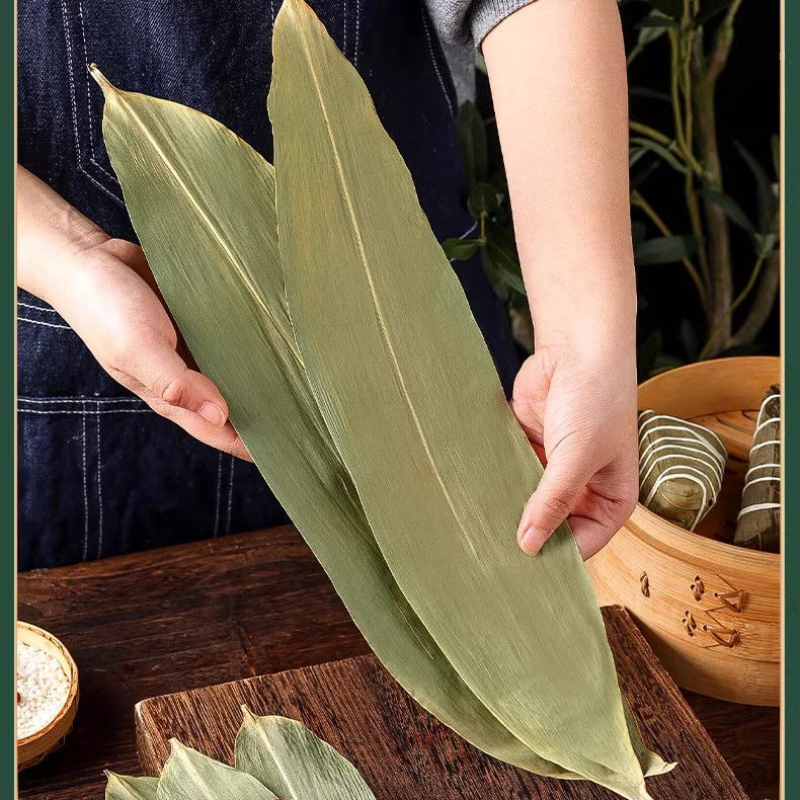 粽叶免邮新鲜干大号粽子叶粽粑叶竹叶包粽子的叶子棕叶竹非芦苇叶