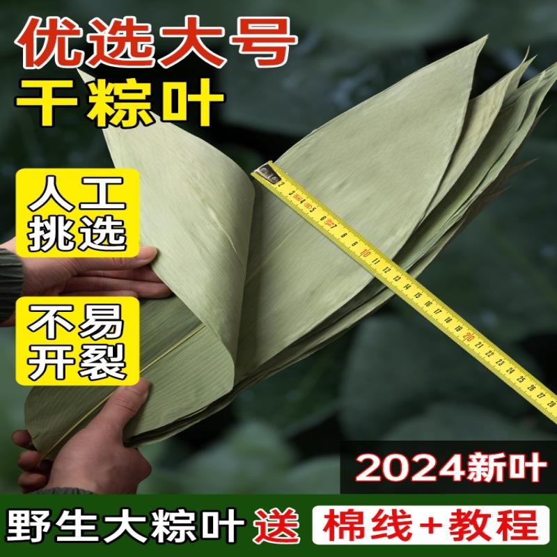 干粽叶大码粽子叶免邮新鲜麻竹箬叶商家用包粽子材料端午批发送绳