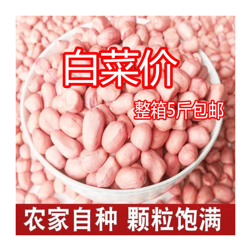 【批发】花生米2024年新鲜白沙花生米农家自产大颗粒不带壳花生米
