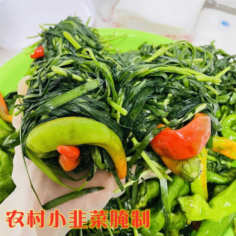 农家腌咸韭菜手工自制韭菜裹辣椒下饭菜早餐盐韭菜一斤下饭小菜