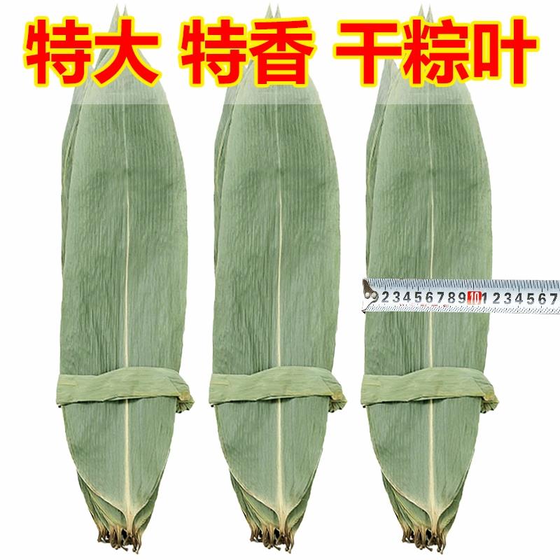 新鲜特大本地棕叶粽子棕叶富安玉