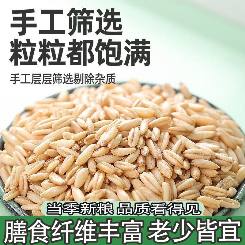 东北新鲜燕麦当季新米全谷物营养保留胚芽营养健康东北燕麦米新米