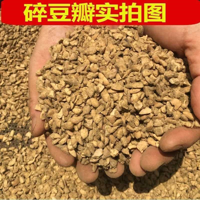 自然发酵碎霉豆瓣干霉子霉豆子做豆瓣酱蚕豆酱酱油霉蚕豆瓣纯手工
