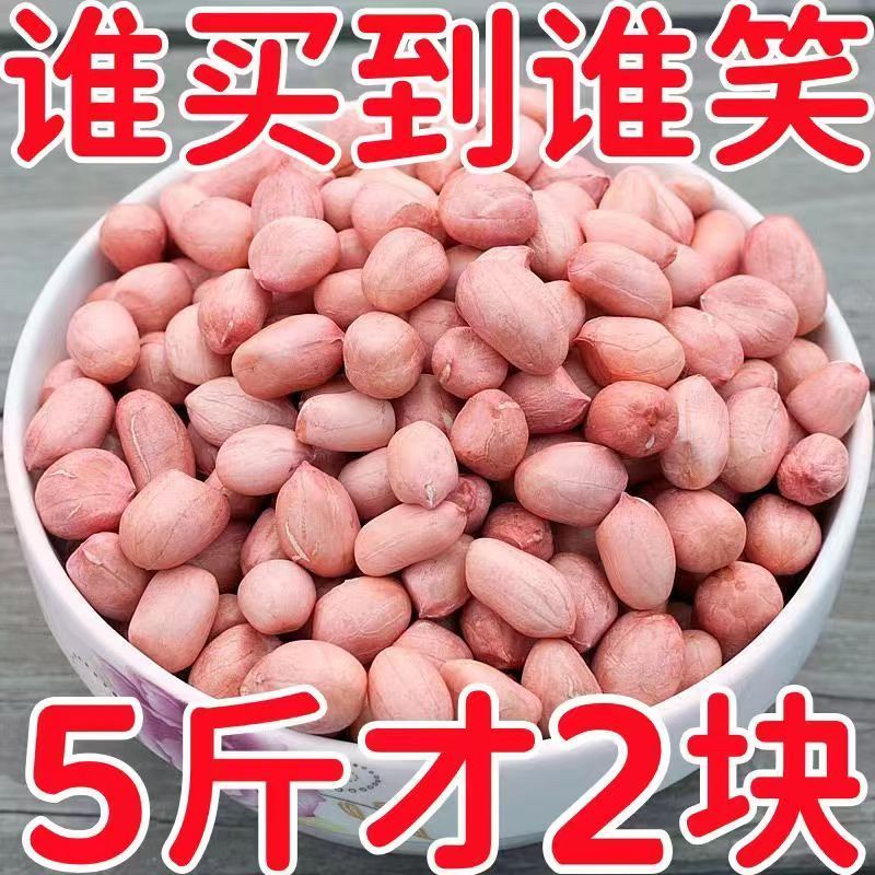 【5斤大降价】现剥新花生米新货粉皮新鲜大粒榨油白沙花生米10g装