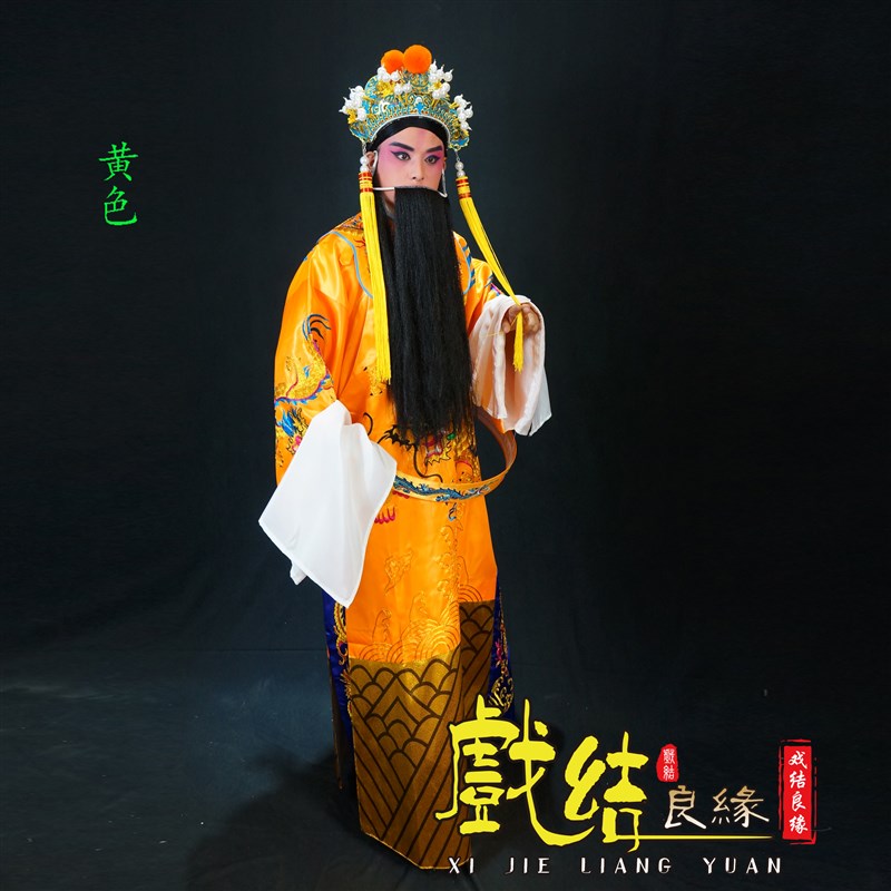 戏装 戏曲演出服装花脸蟒袍普全金大龙男蟒 袍