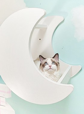 免打孔玻璃白色猫墙猫爬架壁挂剑麻柱猫窝跳台太空舱猫家具吸盘
