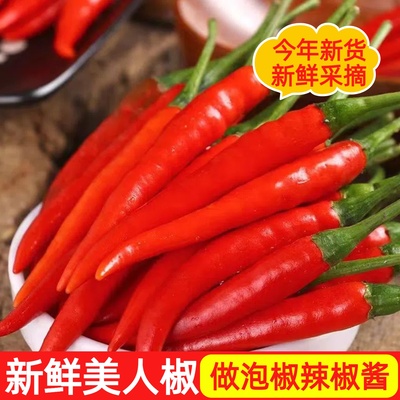 农家自种新鲜美人椒现摘红辣椒