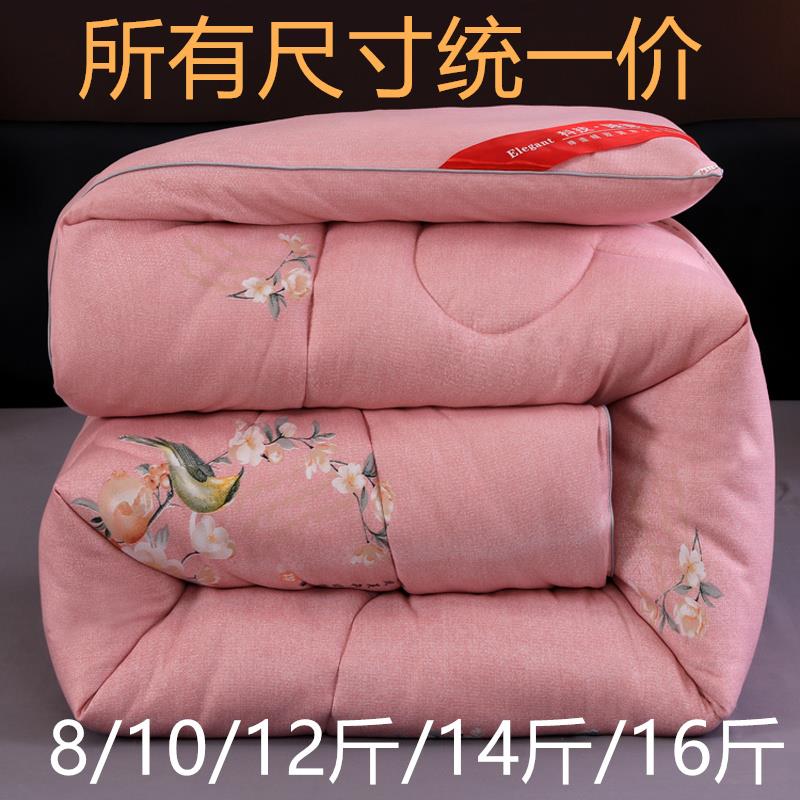 加厚棉被冬被加厚保暖冬季被子丝棉被芯床羽丝绒8/10/12/14/16斤