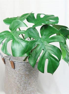 北欧ins仿真龟背叶把束客厅办公室绿色植物装饰摆件插花绿植盆栽