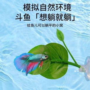 饰树叶躲避睡床鱼缸造景用品 斗鱼休息躲避叶产卵叶仿真水草绿色装