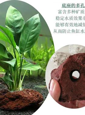红色火山岩定植环8c多孔透气草缸种植环真石头水草双孔红色火山石