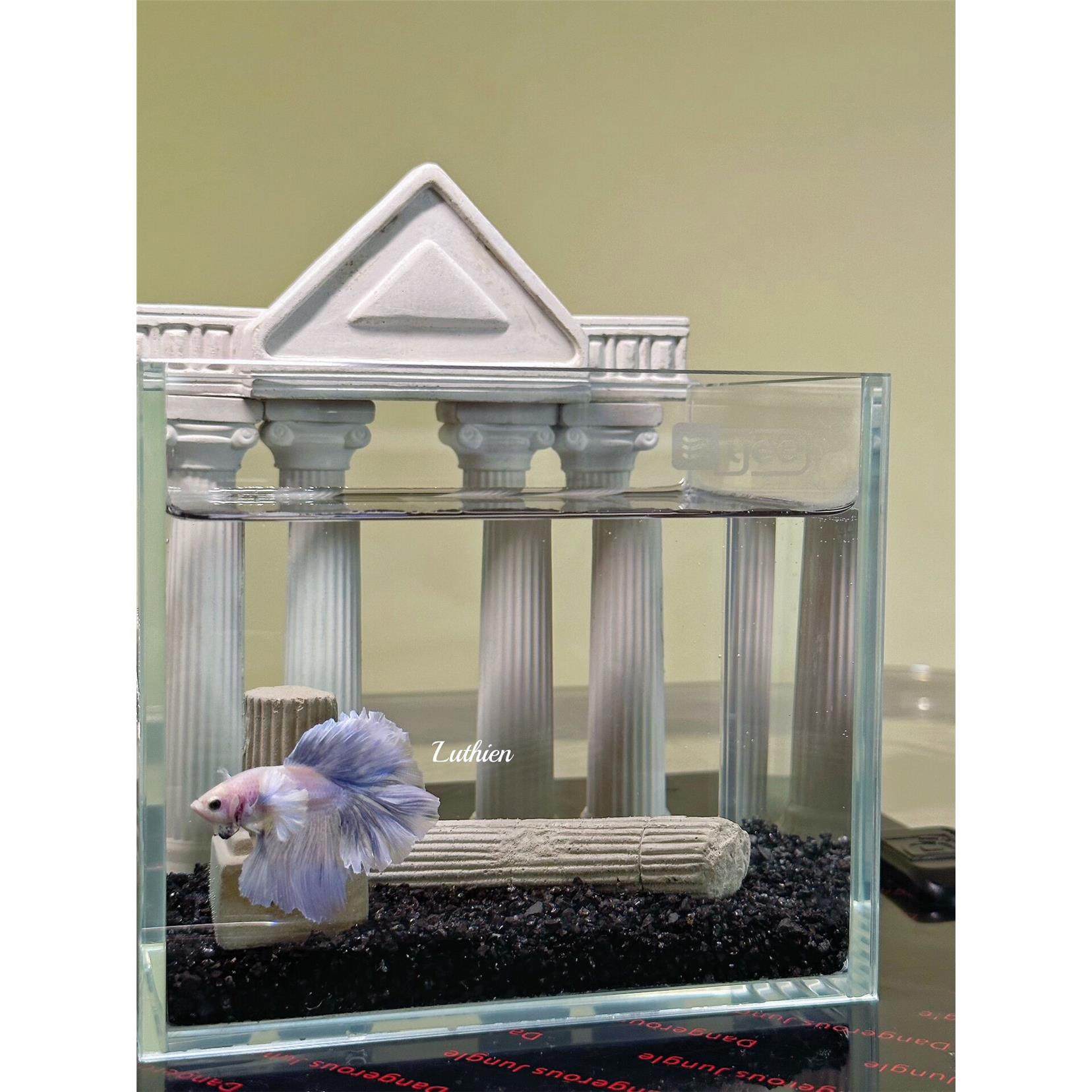 泰国斗鱼超白透明玻璃鱼缸客厅桌面小型金鱼微景观创意缸懒人养鱼,工业油品/胶粘/化学/实验室用品,烧杯/烧瓶,淘宝优惠券,粉丝福利购,淘宝优惠卷