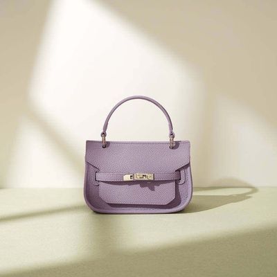 2024新款迷你真皮吉普赛手提凯莉