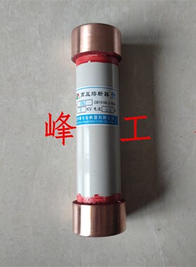 温州曙光RN2-10/0.5A-1A-5A-10A15A高压柜专用熔管熔断器RN2-6KV