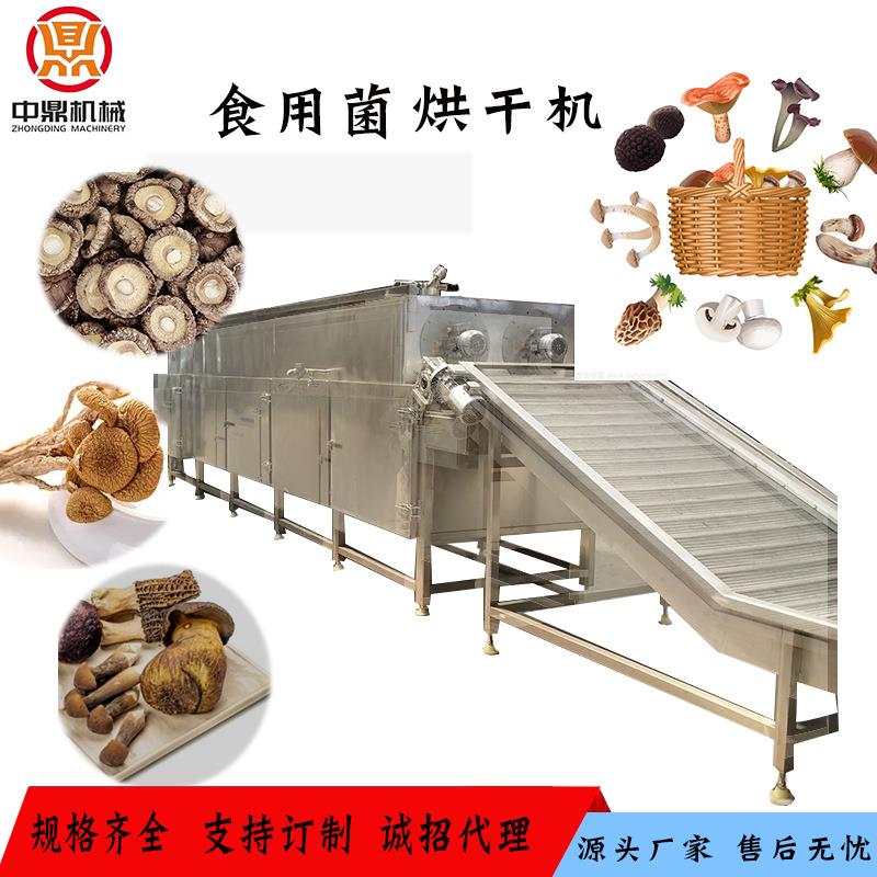 空气能香菇烘干机双孢蘑菇杏鲍菇烘干箱大球盖菇木耳菌类烘干设