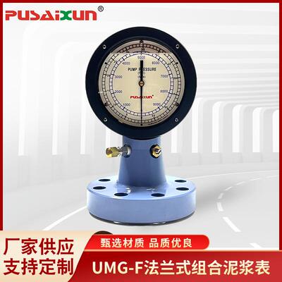 泥浆泵压压力表吊钳扭矩压力测量表UMG-F法兰式组合泥浆测压表