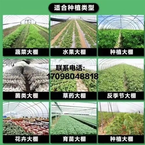 大棚骨架蔬菜棚养殖棚椭圆管大棚连体连栋棚全套
