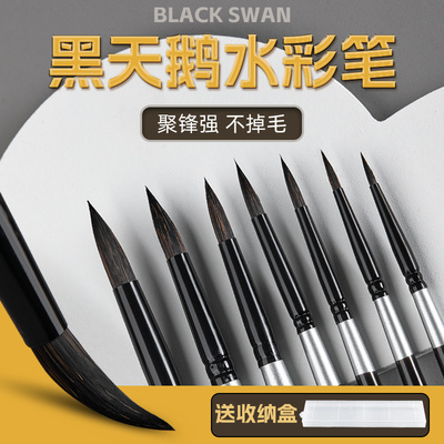 黑天鹅水彩笔水彩毛笔水彩画笔美术专用画笔水彩画套装水粉勾线笔