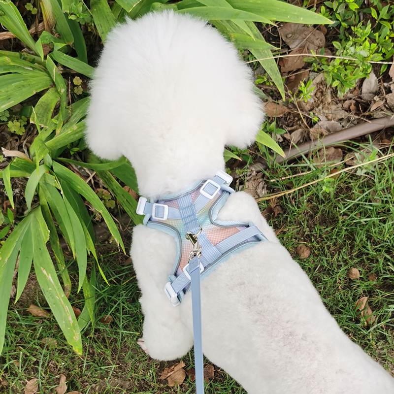 背心式宠物胸抱婴袋猫咪牵引绳遛猫神器小型犬可调节胸背狗狗牵引