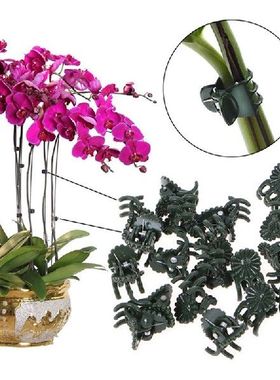 20Pc Plastic garden clip Special clip for Phalaenopsis