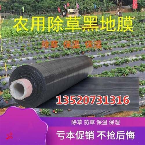 极速加厚地膜农用黑膜除草带孔黑色塑料薄膜我要买一米打孔芹菜果