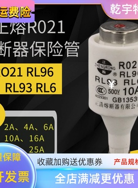 正熔陶瓷保险丝管R021 RL96 RL93 RL6熔断器熔芯 10A 16A 20A 25A