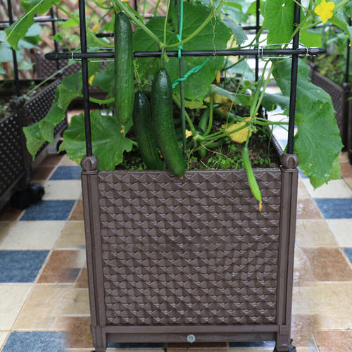极速园之助花盆塑料种菜箱菜盆黄瓜爬藤种植阳台花箱户外室外屋顶