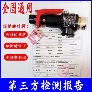 安全阀检测报告压力表带代检测特检院计量局第三方检验报告储气罐