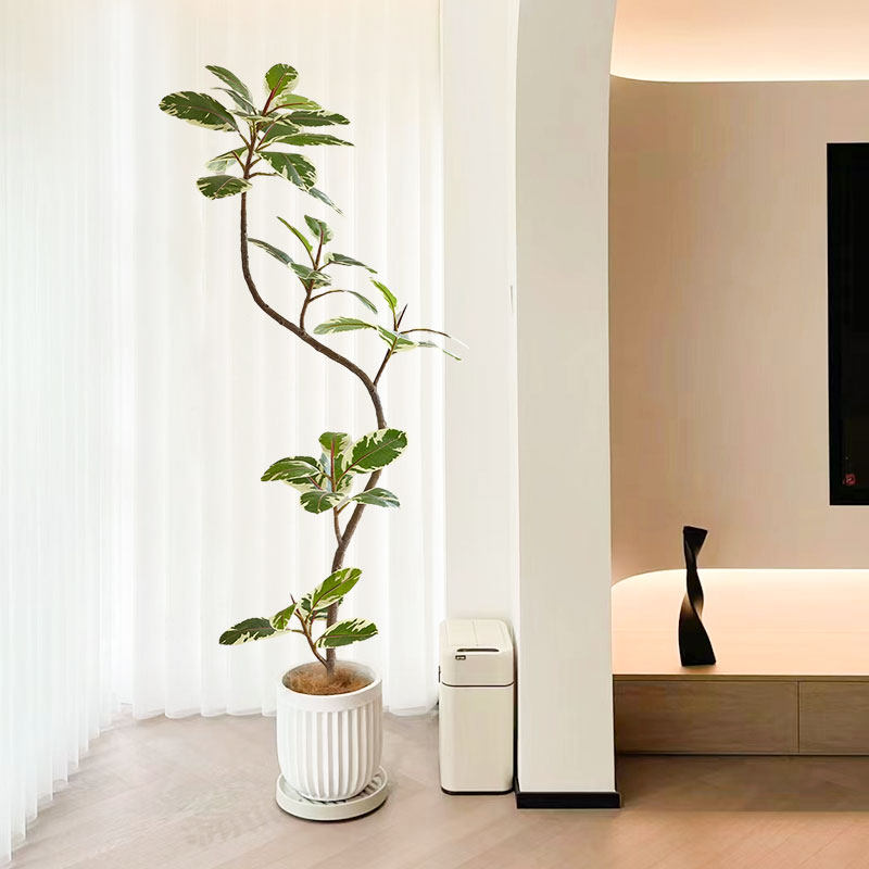 仿真绿植橡皮树黄金榕高端轻奢客厅摆件大型落地侘寂风仿生假植物