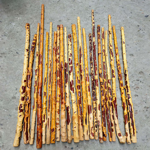 对节木阴阳残疤棍檬子木降龙木户外登山住行手杖健身把玩收藏木棍