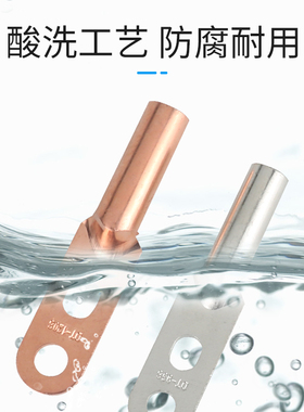 双孔铜鼻子DTS25/35/70/95/120/150/185/240/300平方线耳接线端子