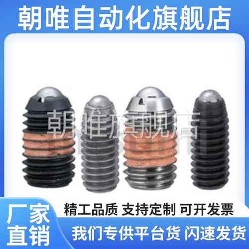 BMS/BSM3/4/5/6/8/10/12/16球头柱塞C-BSZL6-10P 替代C-BMS5-10P