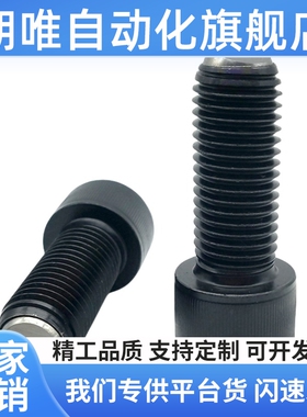 ZC108-1内六角球头柱塞波珠BPRL4-M8/4/5/6/10/15/20/25/30/35/40