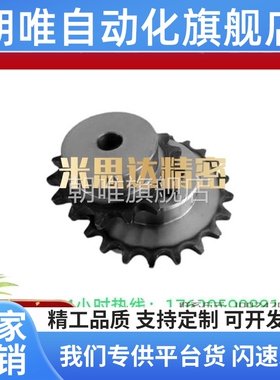 SP40B BSP40B SSP40B9 10 11 12 13 14 15-17-18-N/S 链轮