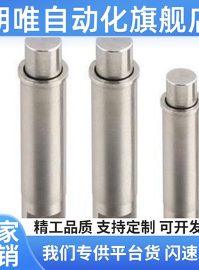 ZAS11重载型小径弹簧柱塞 MPFH1.5 2 3 4 5光身定位锁销 销平头型
