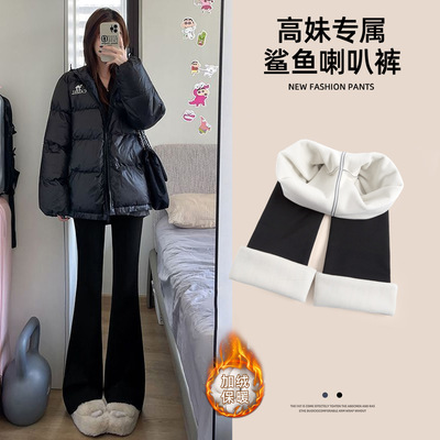 羊羔绒微喇鲨鱼裤女外穿冬季加绒加厚棉裤高腰提臀瑜伽打底喇叭裤
