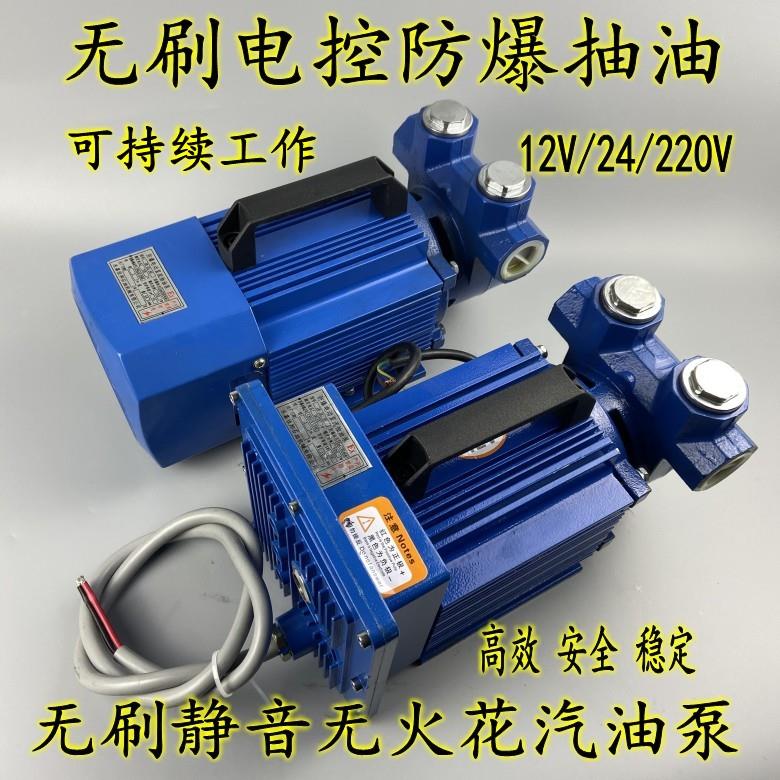 12v24v220v大流量防爆泵电瓶无刷电机静音抽油泵汽油柴油自吸抽油