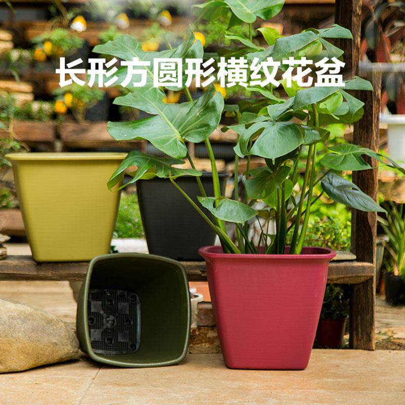 海蒂的花园爱丽思横纹长方形方圆形花盆花卉阳台庭院塑料种植盆