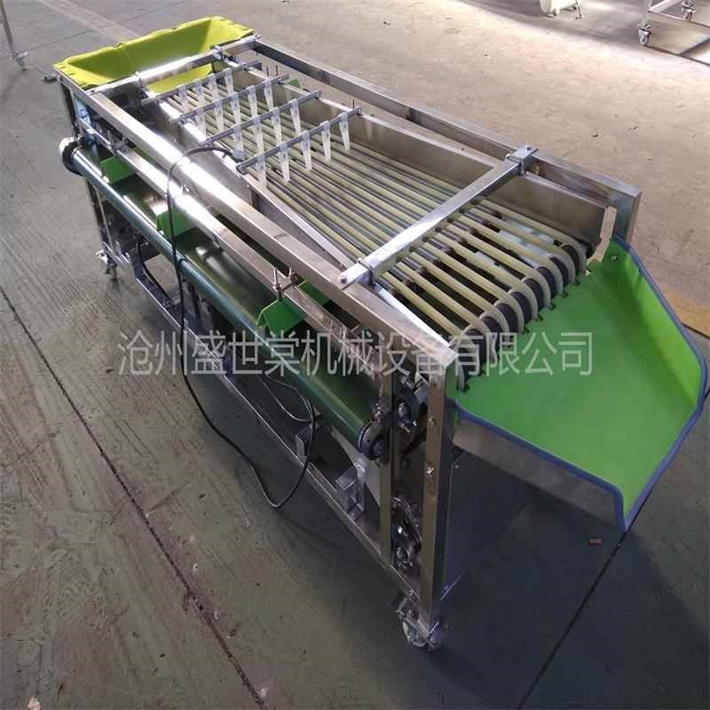 紫红色鸡蛋果鸡蛋果选果机 商用小型水果分果机 分级规格可选,机械设备,试验机,淘宝优惠券,粉丝福利购,淘宝优惠卷