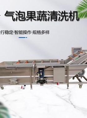 果蔬鼓泡气泡清洗机喷淋式瓜果洗菜机蔬全自加动FHR冷却机工流菜