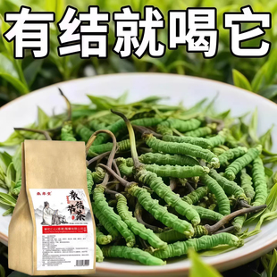 老方子】全身结节结节茶非散结节茶结块茶养生茶散结茶