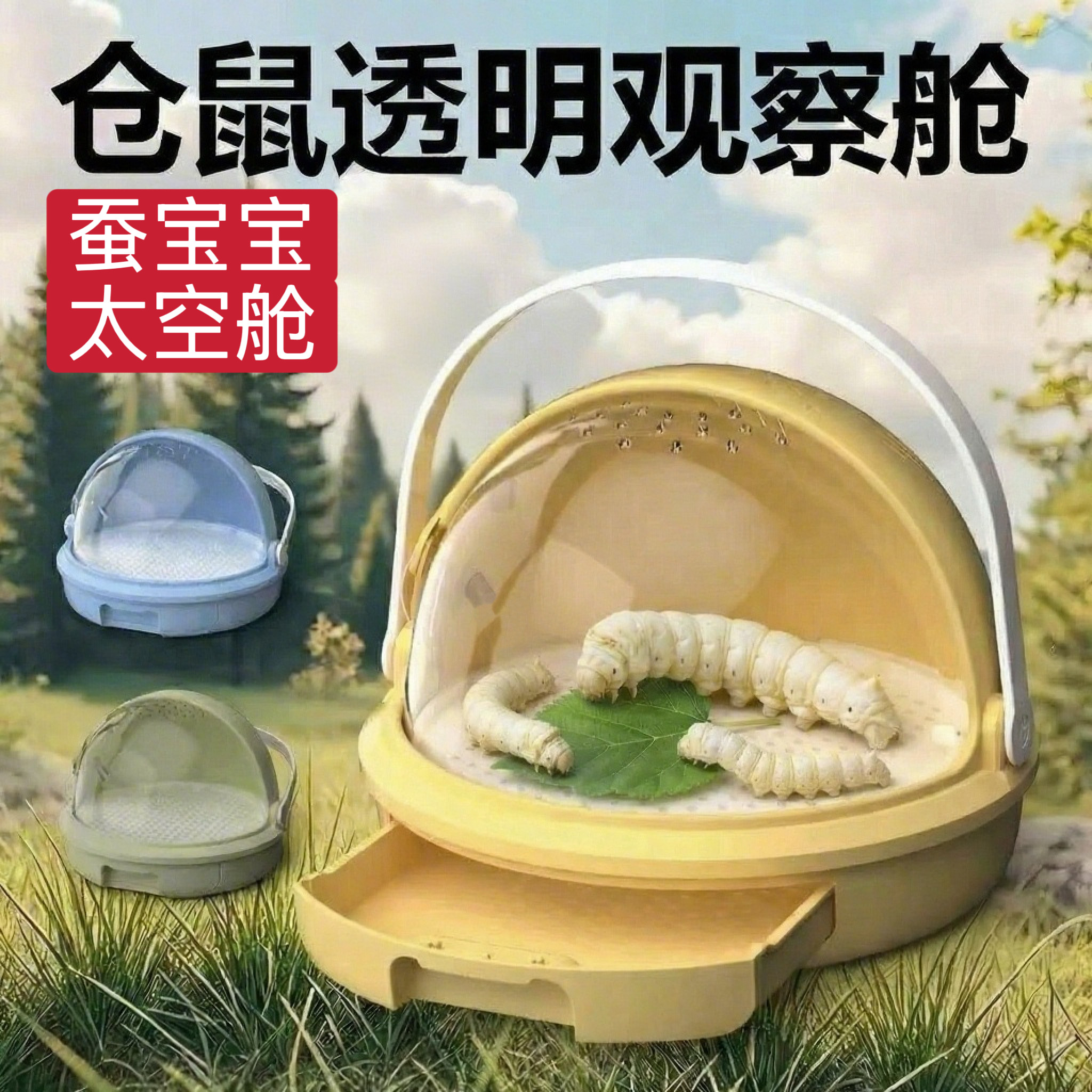 科学观察蚕宝宝养殖器透明饲养箱儿童科教玩具太空舱学生养蚕套餐