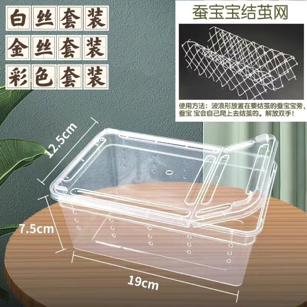 七彩蚕金丝蚕宝宝天然小学生养蚕工具全套套餐蚕卵套装爬虫饲养盒